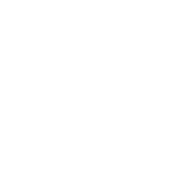 Shaheel Singh Attorneys Inc